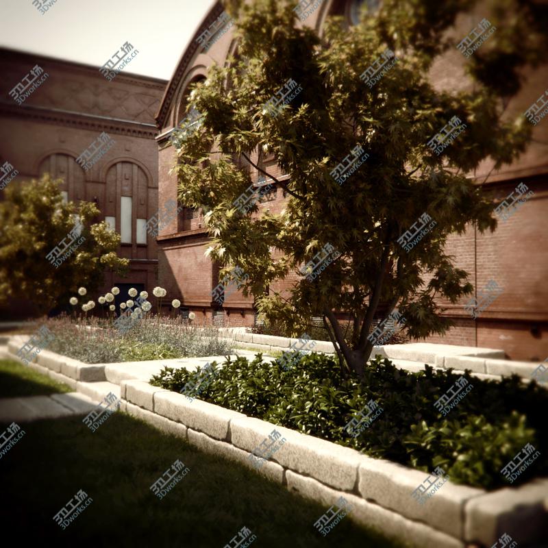images/goods_img/2021040235/HQ Vegetation Pack (9 Models)/2.jpg